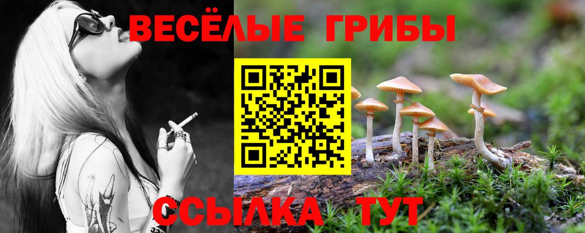 Псилоцибиновые грибы мицелий  Вход с VPN  Псилоцибиновые грибы мицелий  Павловский Посад 