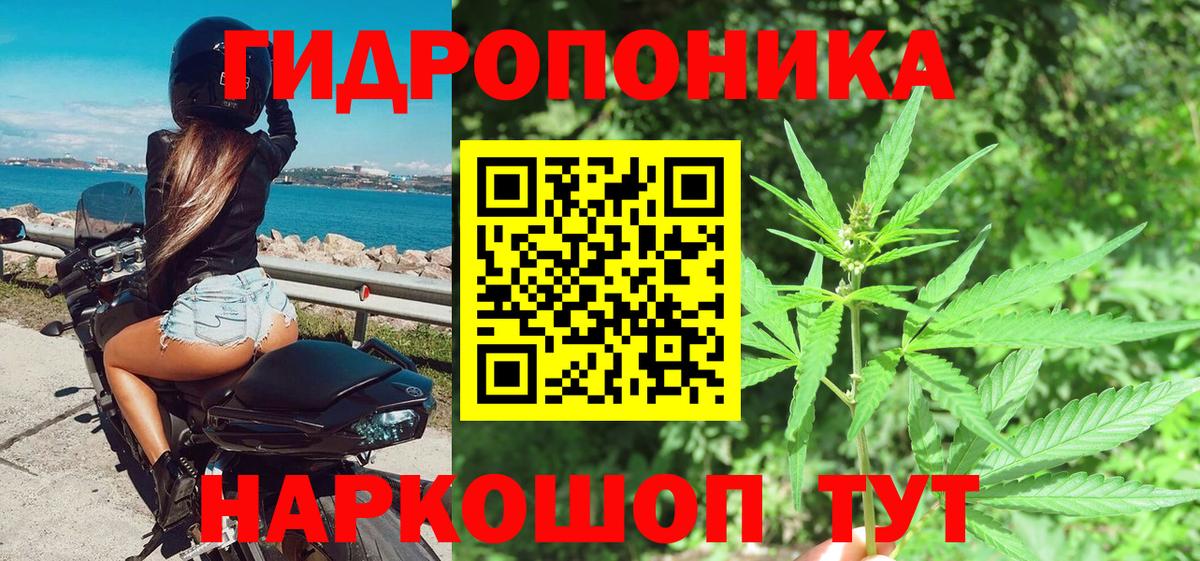 Каннабис White Widow Павловский Посад